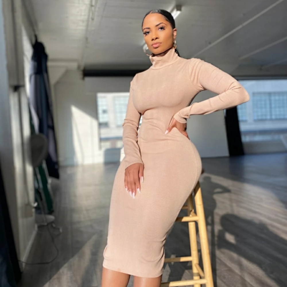 Long Sleeved Turtleneck Body Contouring Dress
